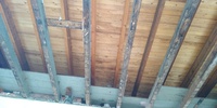 IMG_20220303_112852821.jpg