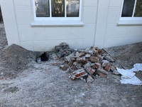 IMG_7639.JPEG