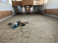 IMG_7644.JPEG