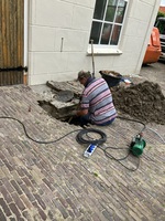 IMG_7858.JPEG