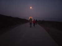 20230409_062227.jpg