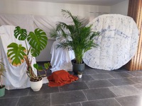 IMG20230403140450.jpg