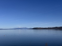 IMG_5624.jpeg