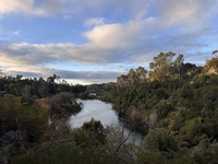 IMG_5458.jpeg